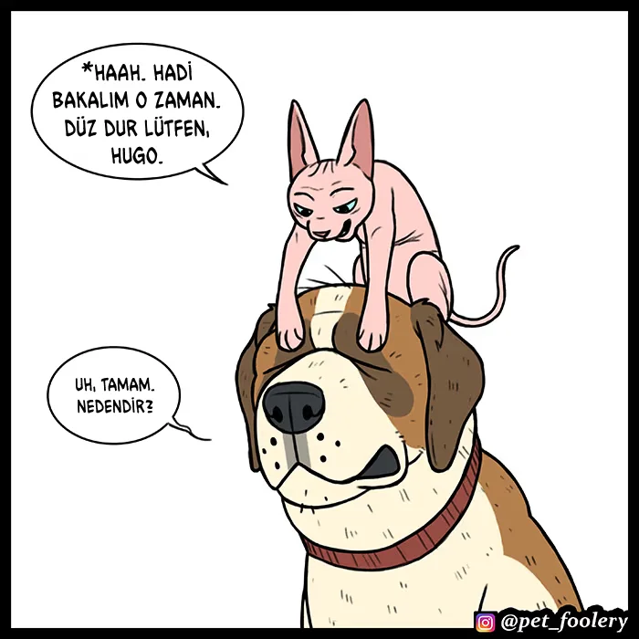 Pixie and Brutus - Bölüm 52 - Sayfa 5