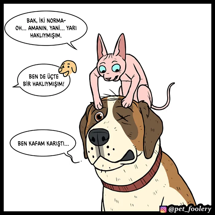 Pixie and Brutus - Bölüm 52 - Sayfa 6