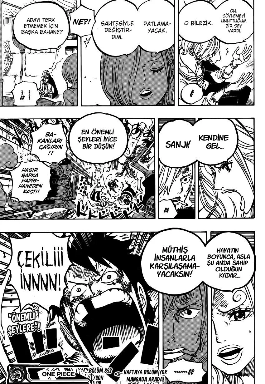 One Piece - Bölüm 852 - Sayfa 17