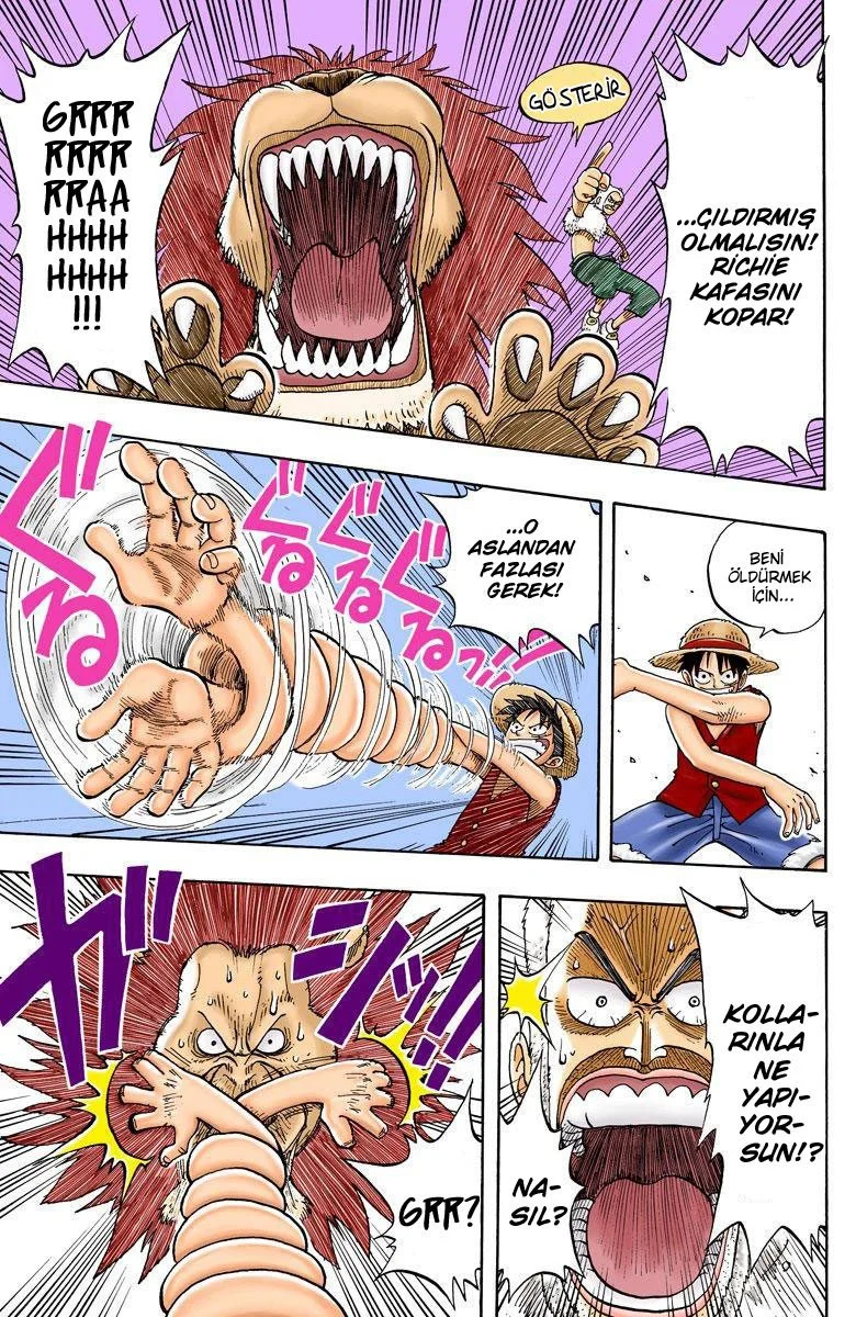 One Piece - Bölüm 13 - Sayfa 11
