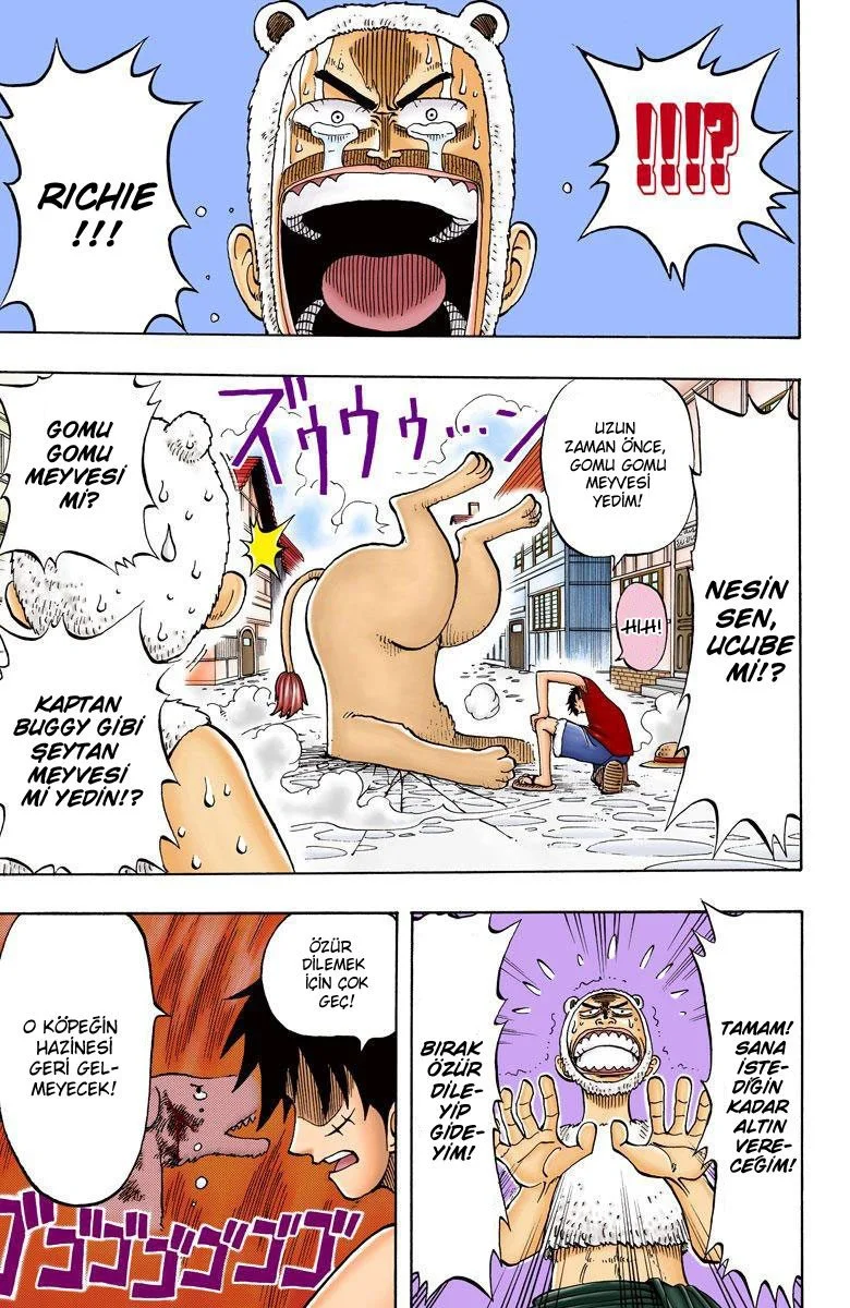 One Piece - Bölüm 13 - Sayfa 13