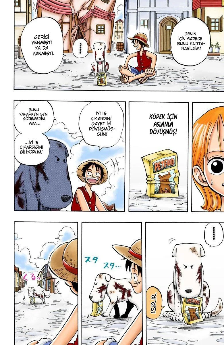 One Piece - Bölüm 13 - Sayfa 18