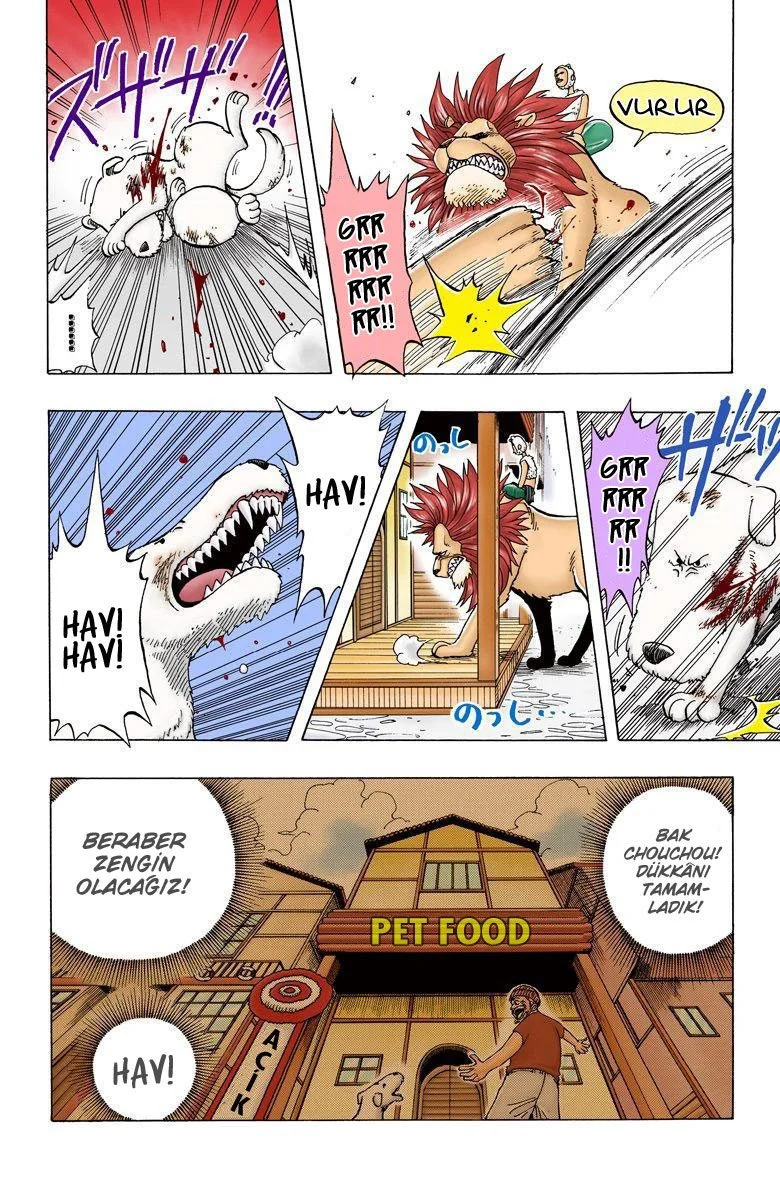 One Piece - Bölüm 13 - Sayfa 4
