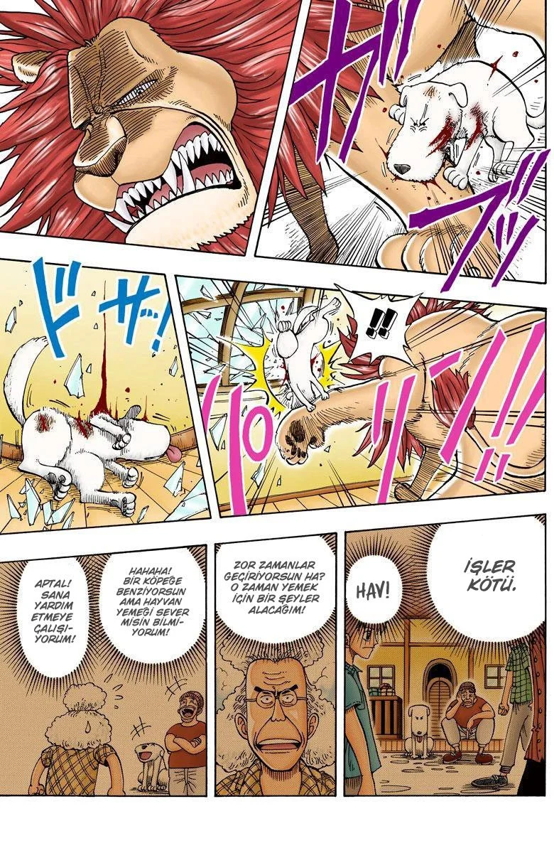 One Piece - Bölüm 13 - Sayfa 5