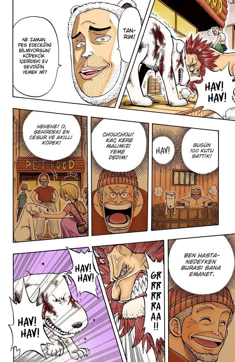 One Piece - Bölüm 13 - Sayfa 6