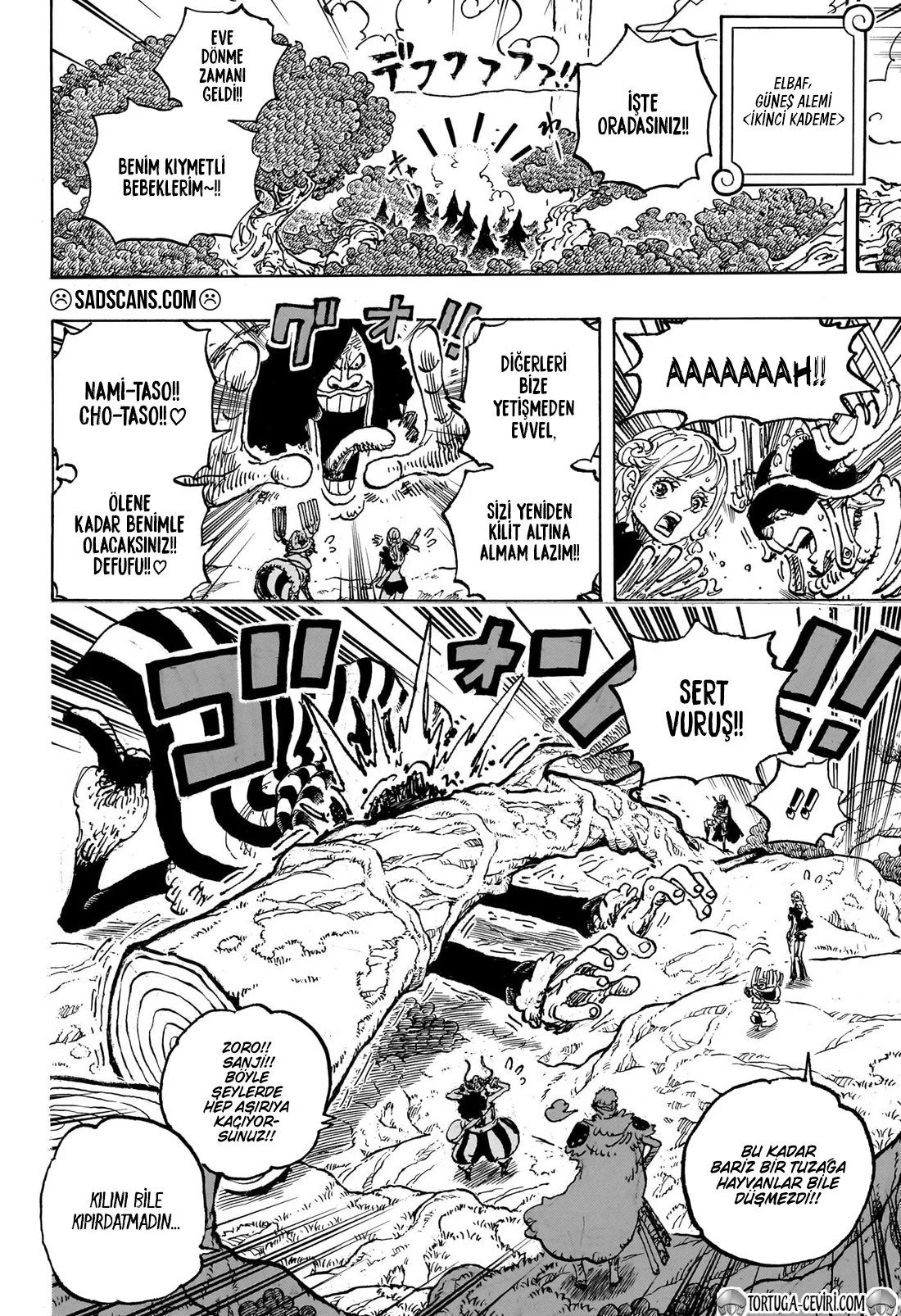 One Piece - Bölüm 1132 - Sayfa 10