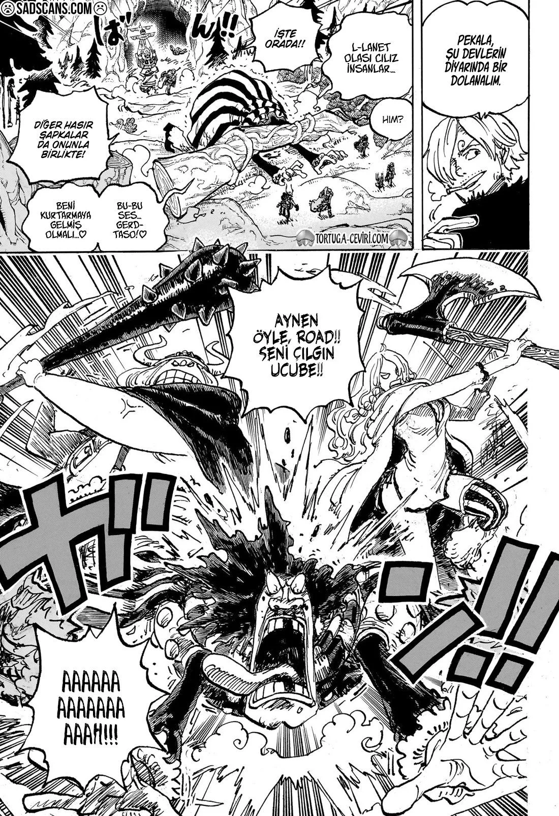 One Piece - Bölüm 1132 - Sayfa 11