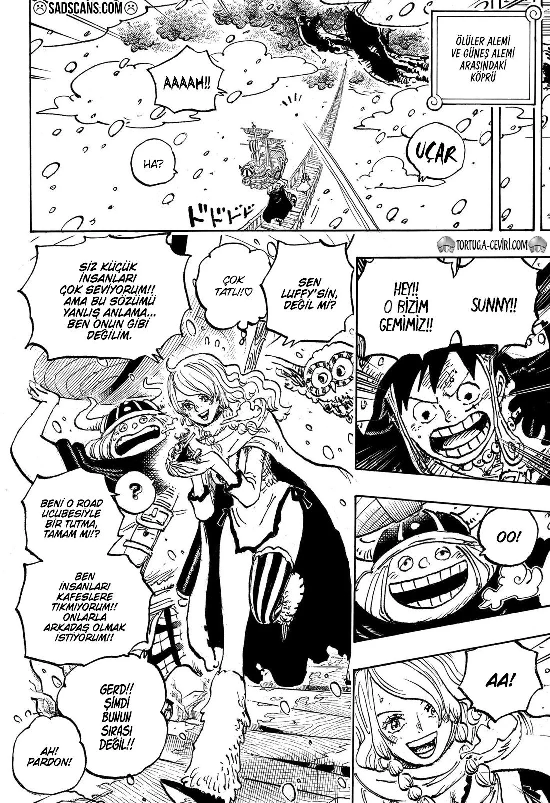 One Piece - Bölüm 1132 - Sayfa 8