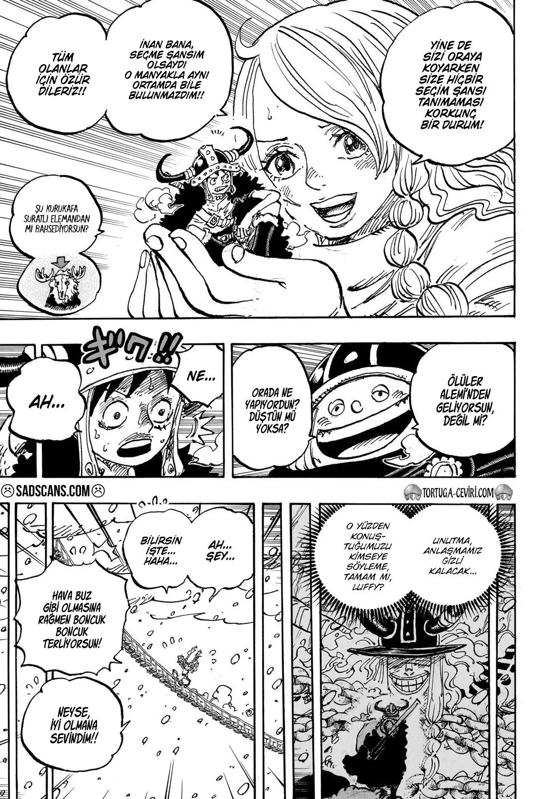 One Piece - Bölüm 1132 - Sayfa 9