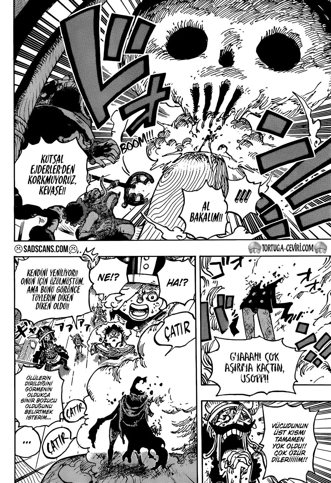 One Piece - Bölüm 1146 - Sayfa 10
