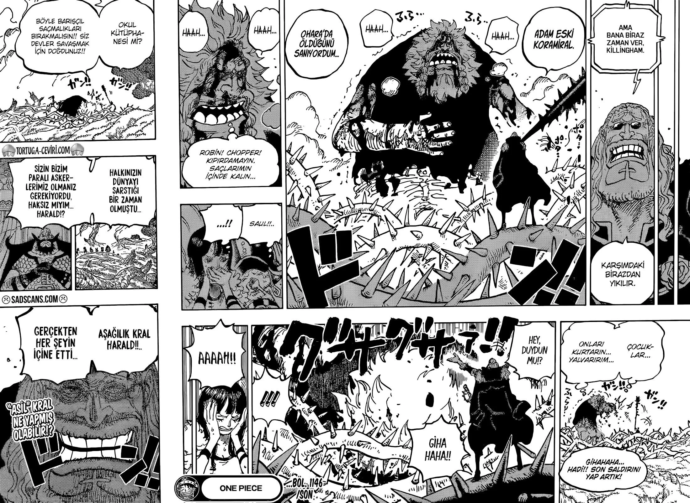 One Piece - Bölüm 1146 - Sayfa 17