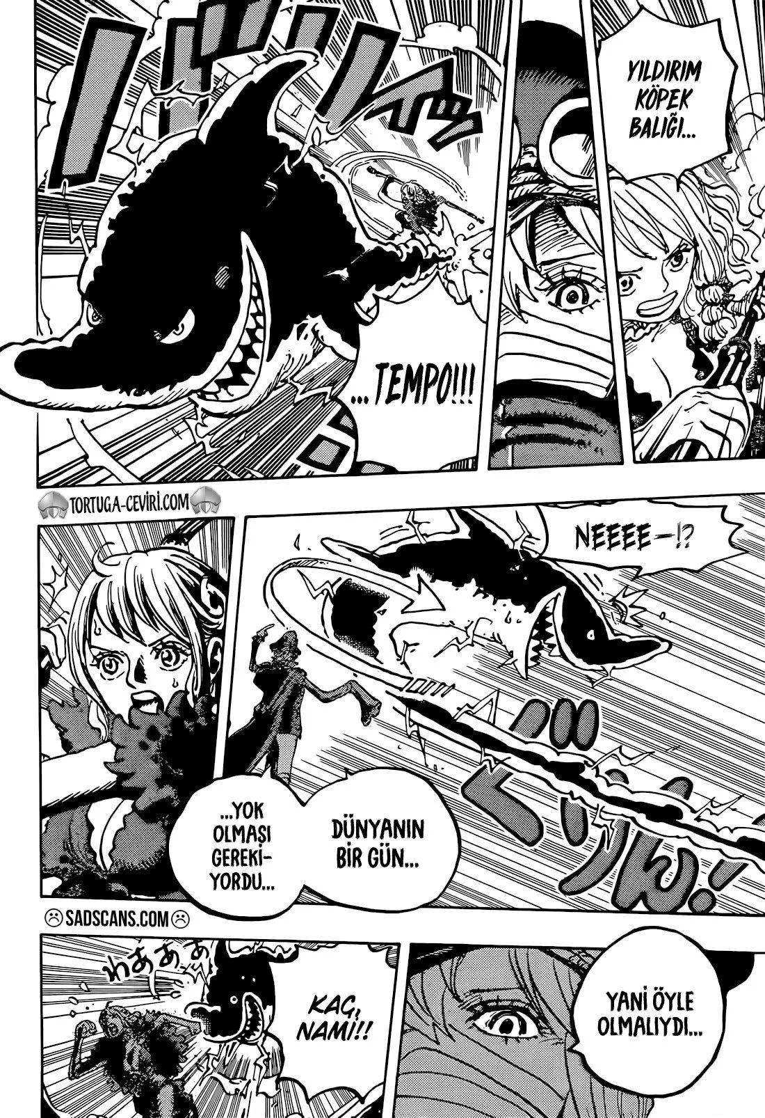 One Piece - Bölüm 1146 - Sayfa 8