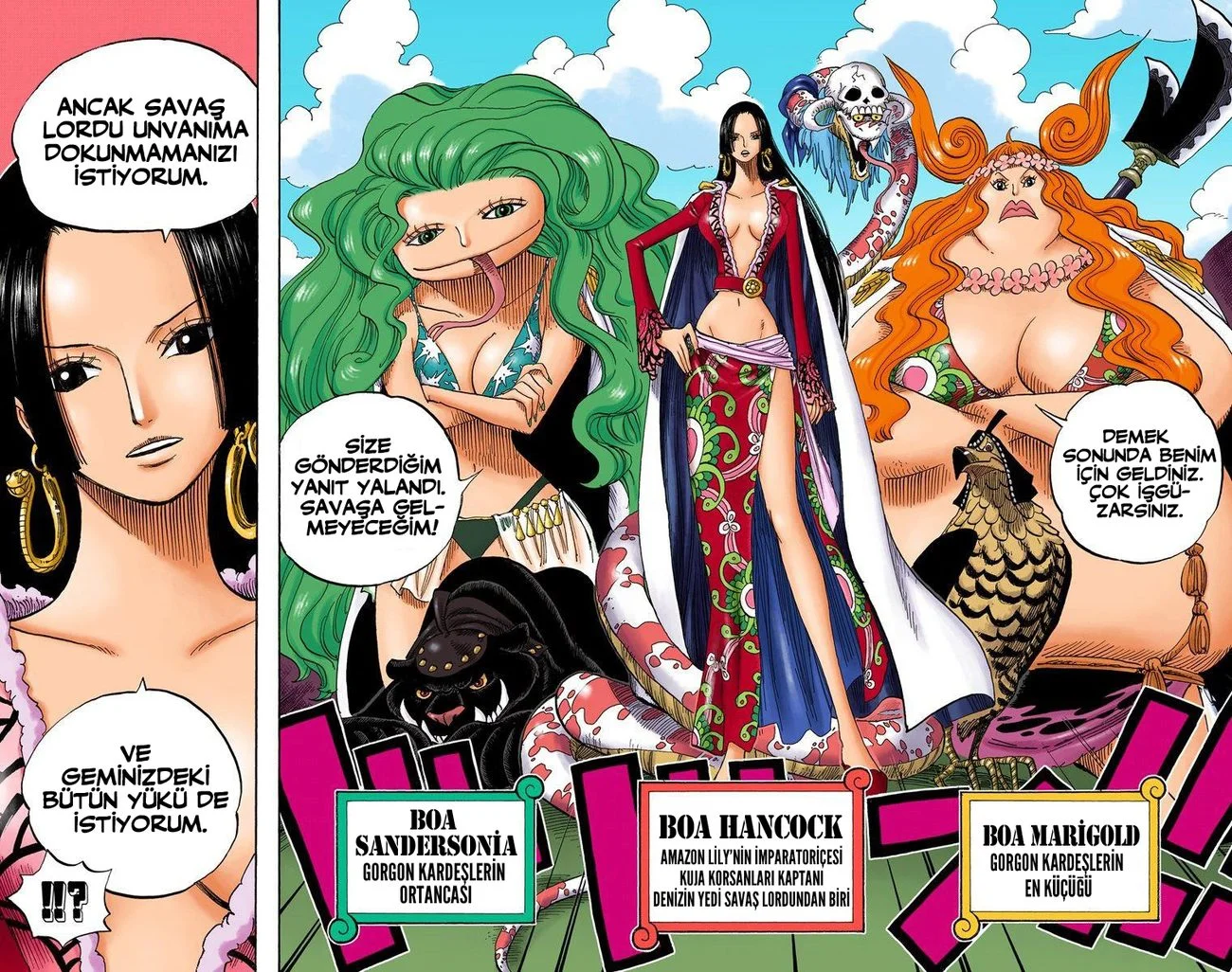 One Piece - Bölüm 516 - Sayfa 11