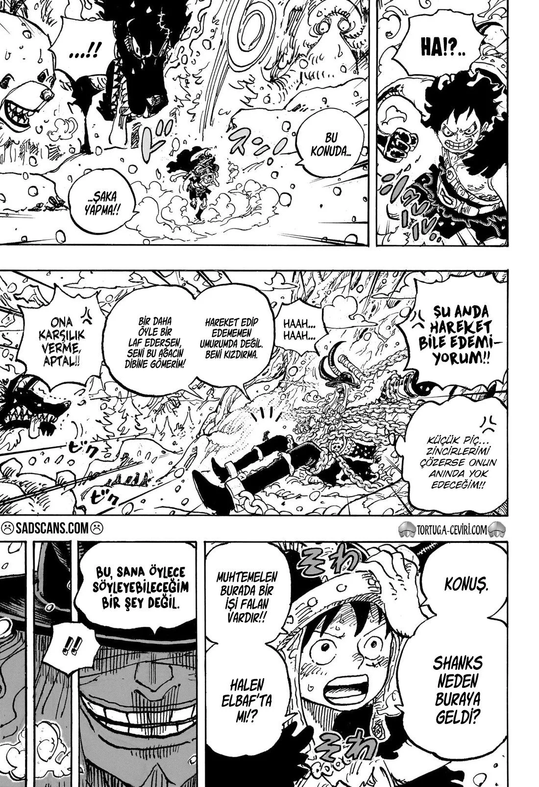 One Piece - Bölüm 1131 - Sayfa 10