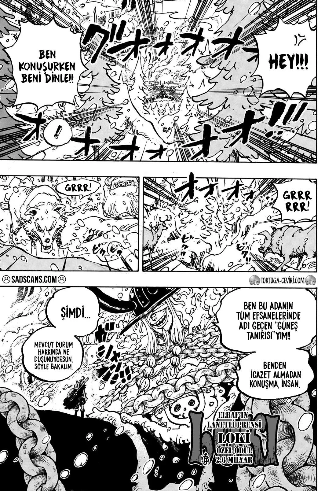 One Piece - Bölüm 1131 - Sayfa 4