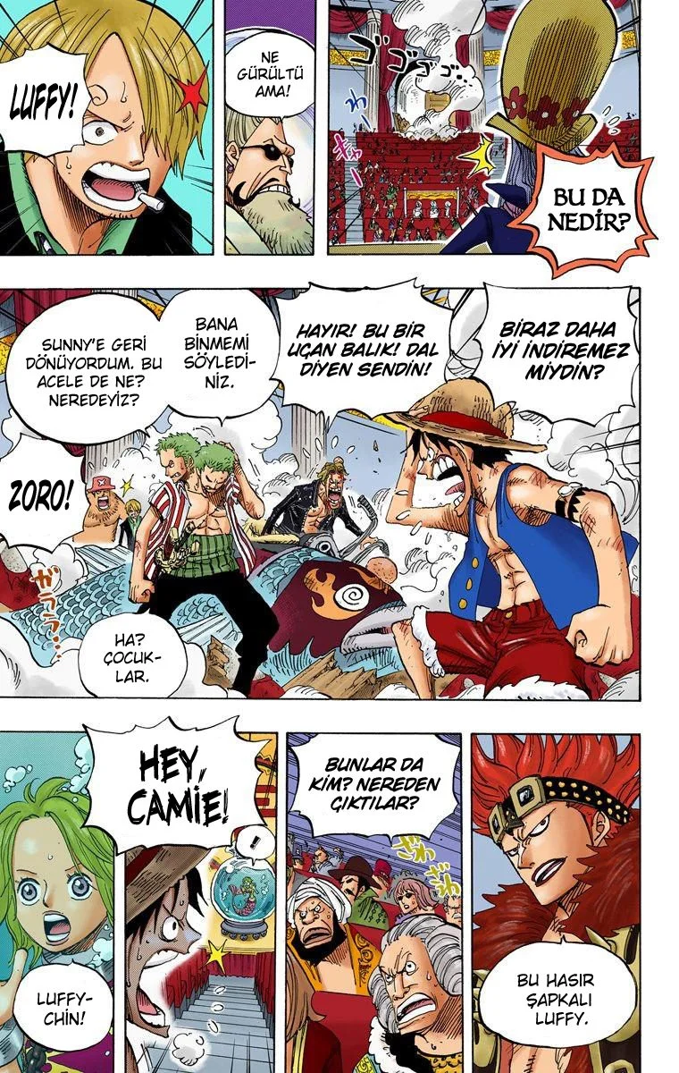 One Piece - Bölüm 502 - Sayfa 11