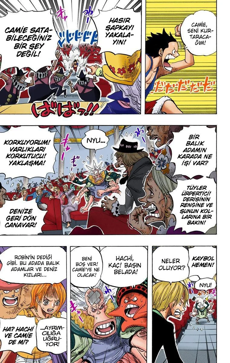 One Piece - Bölüm 502 - Sayfa 13