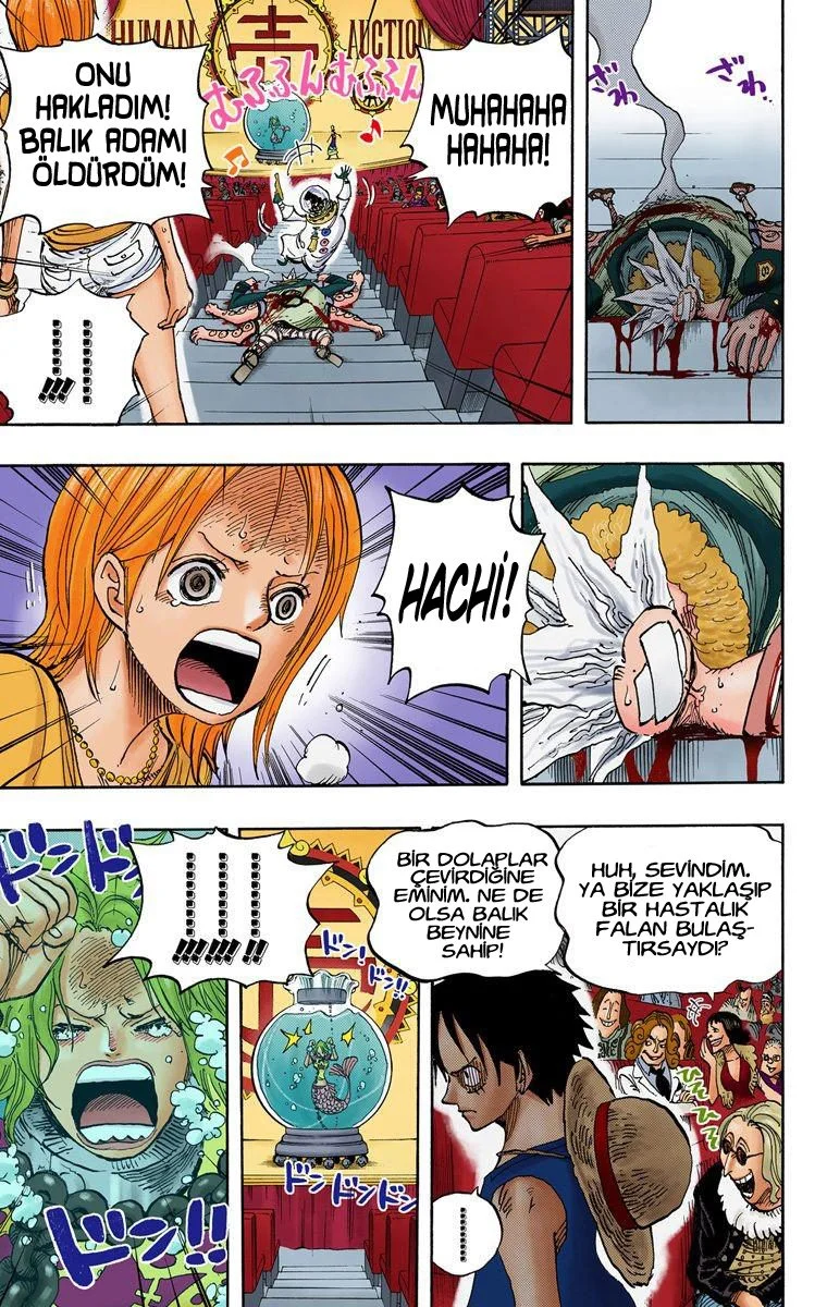 One Piece - Bölüm 502 - Sayfa 15
