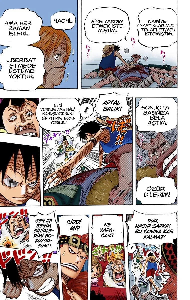 One Piece - Bölüm 502 - Sayfa 17