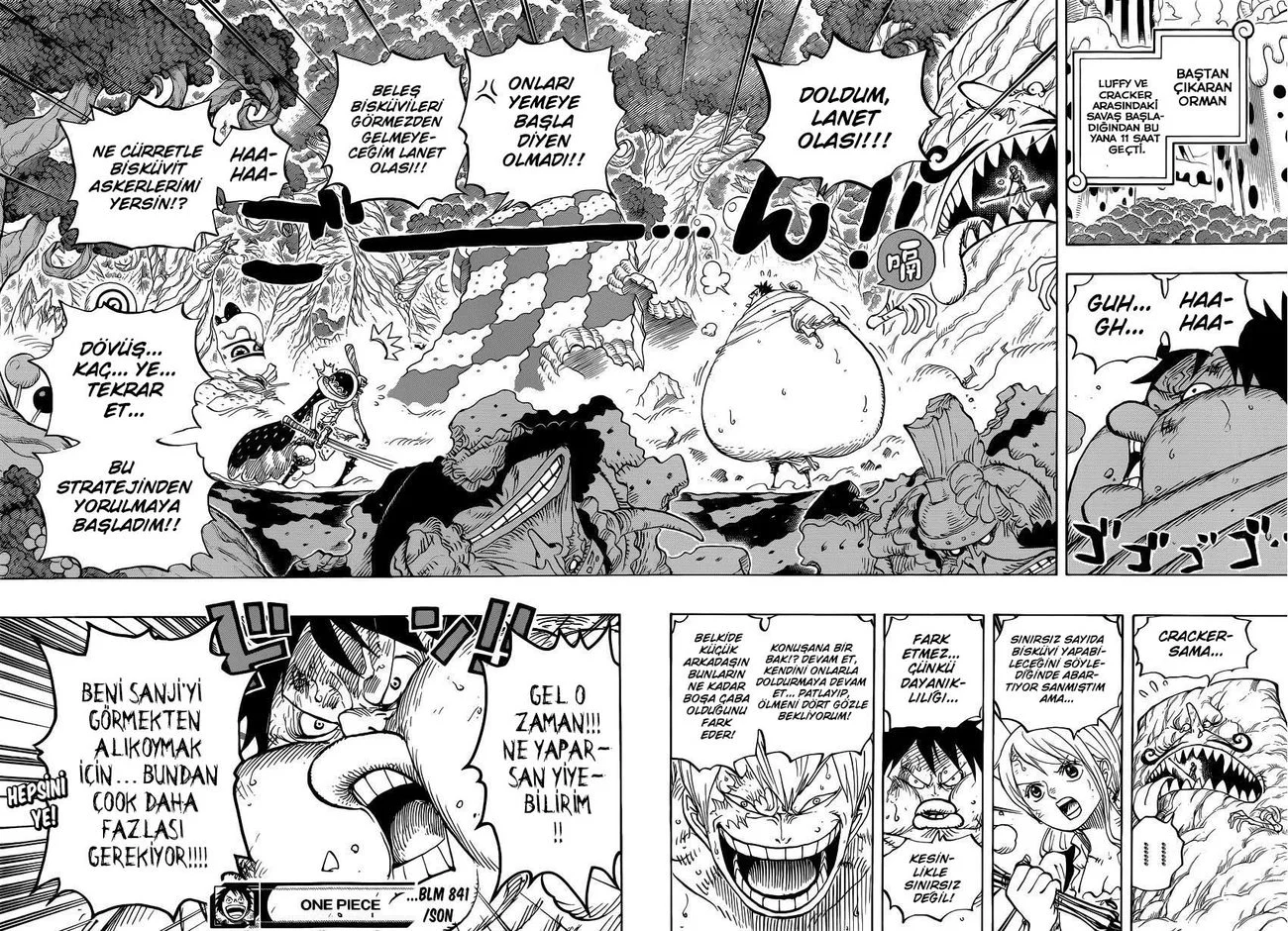 One Piece - Bölüm 841 - Sayfa 16