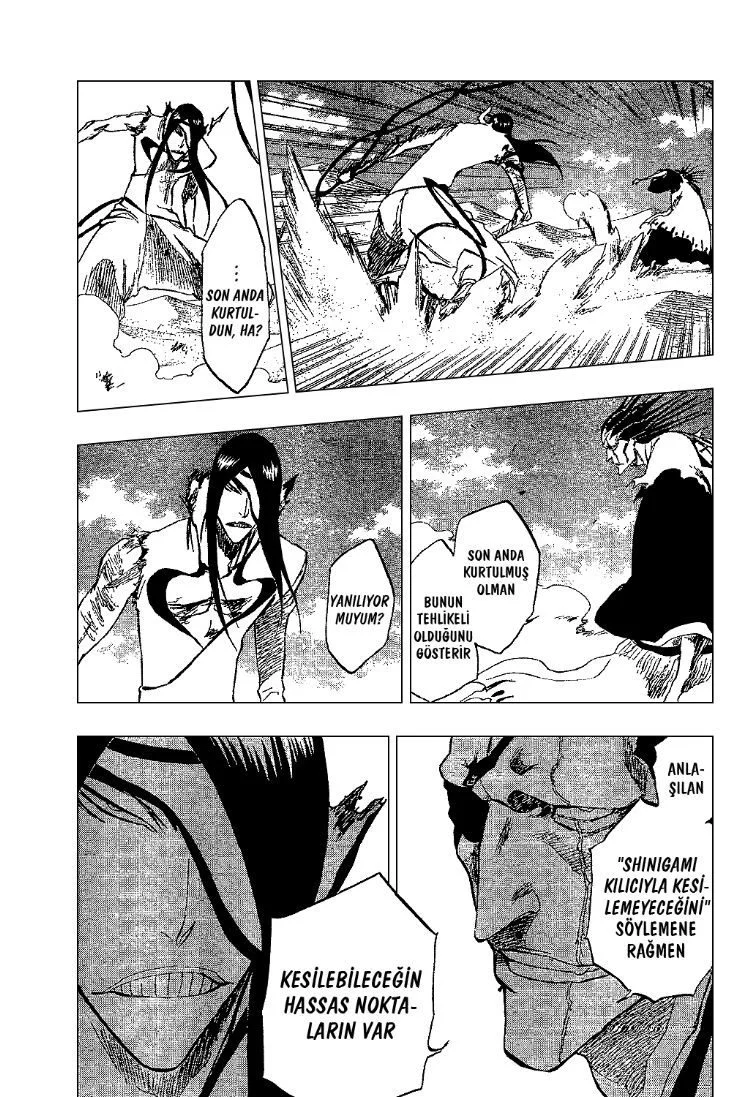 Bleach - Bölüm 307 - Sayfa 13