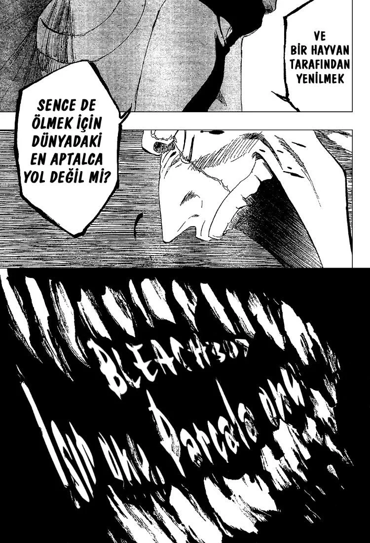 Bleach - Bölüm 307 - Sayfa 7