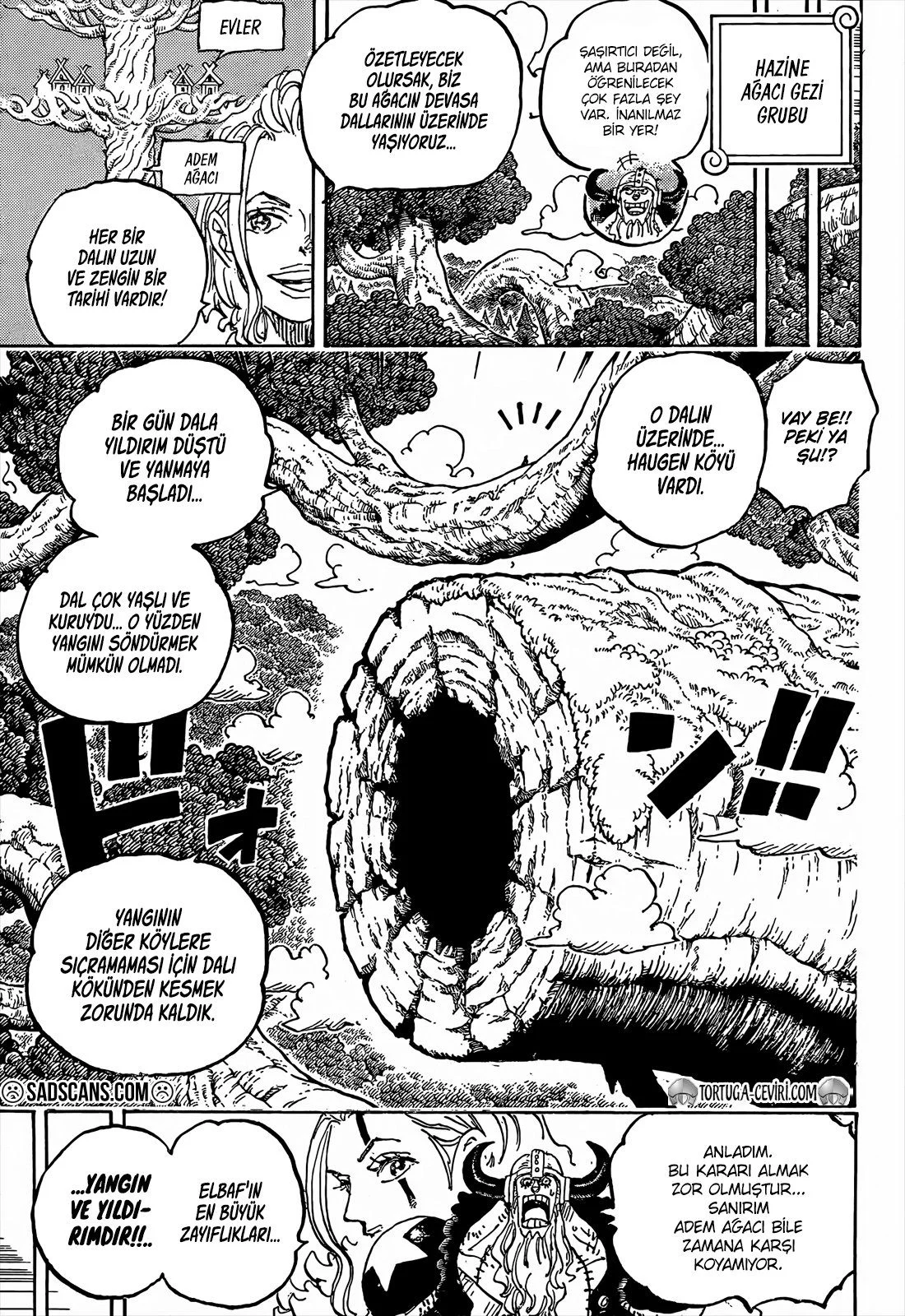 One Piece - Bölüm 1141 - Sayfa 4