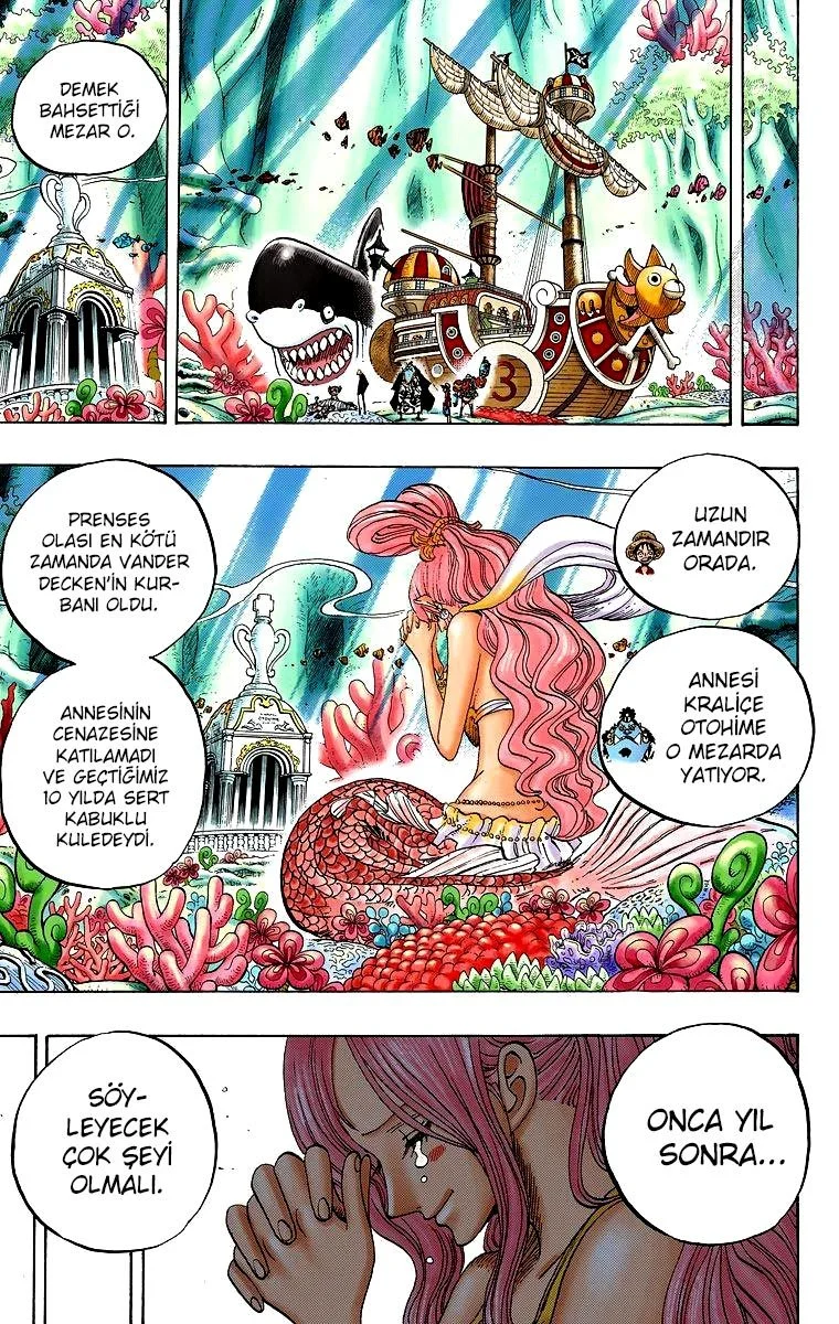 One Piece - Bölüm 619 - Sayfa 13