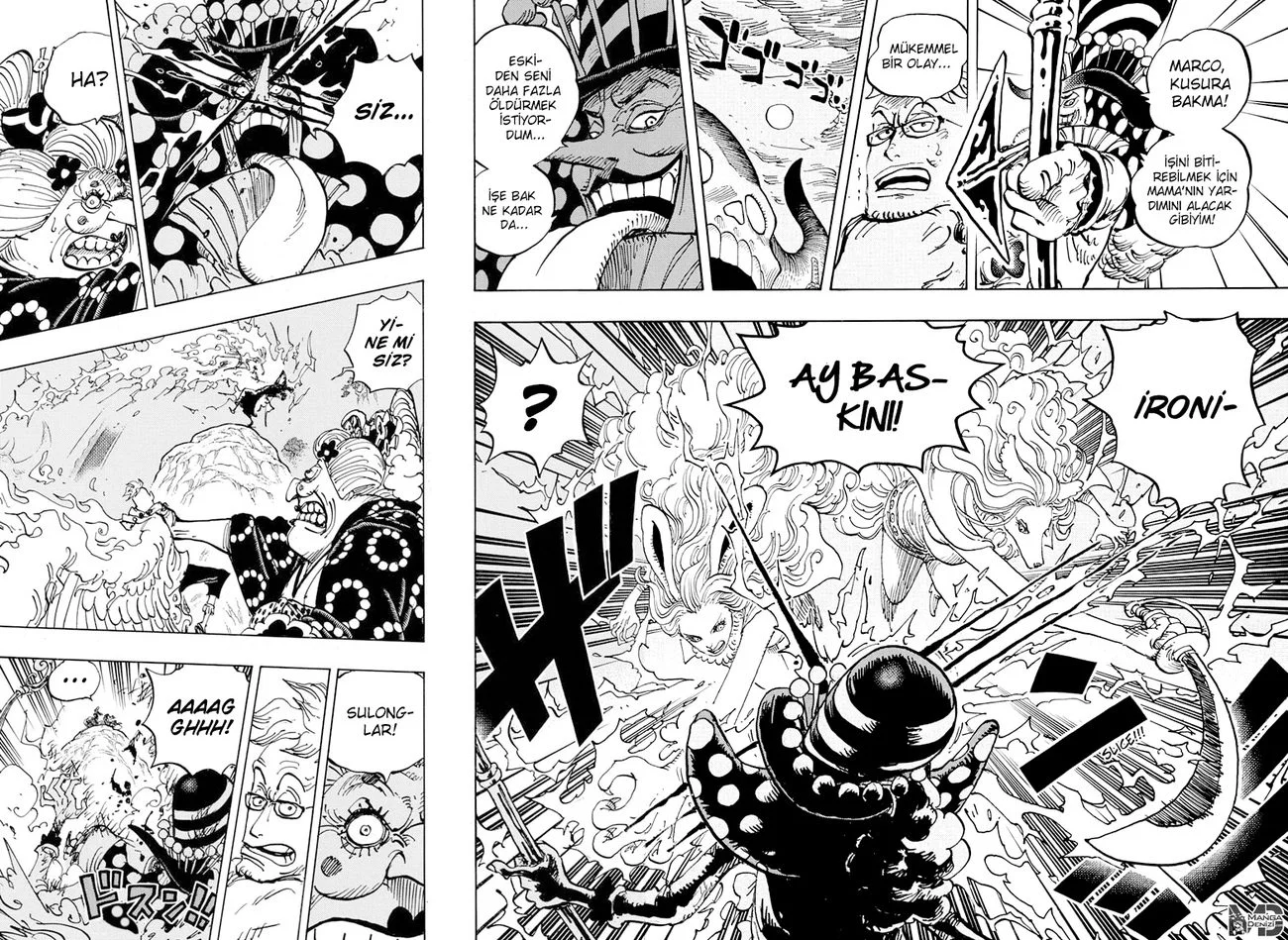 One Piece - Bölüm 995 - Sayfa 4