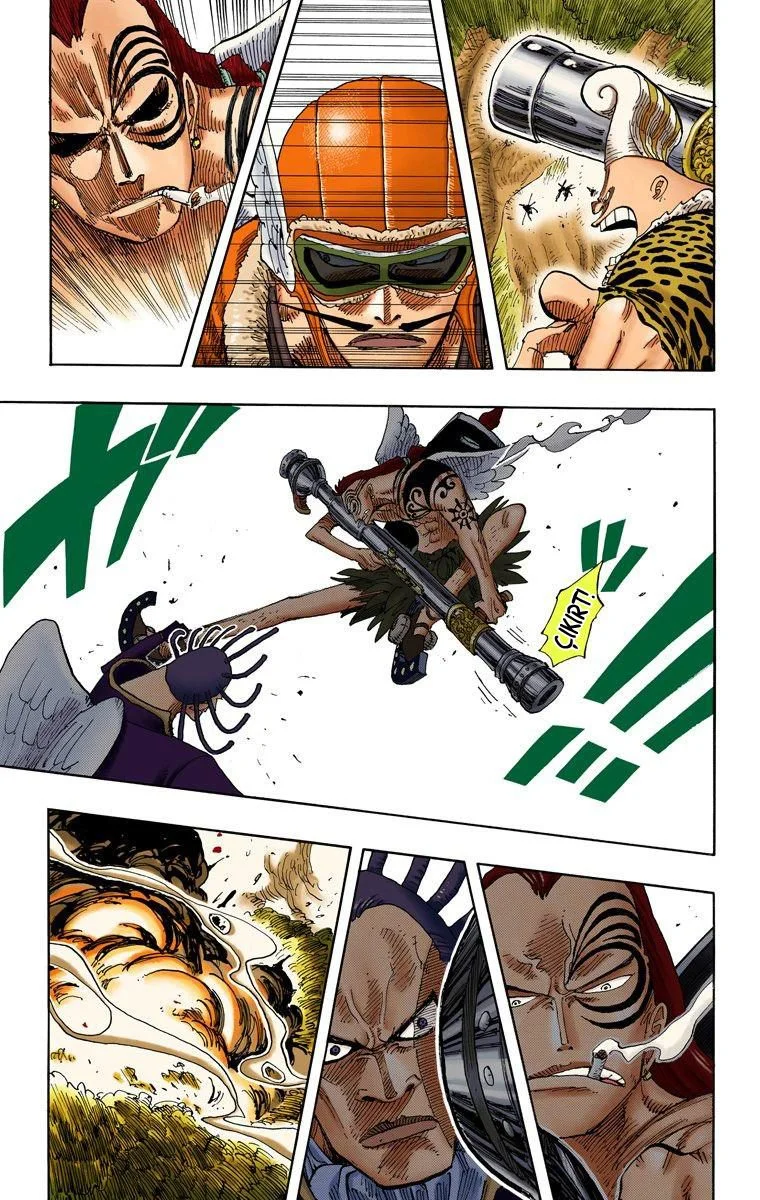 One Piece - Bölüm 252 - Sayfa 13