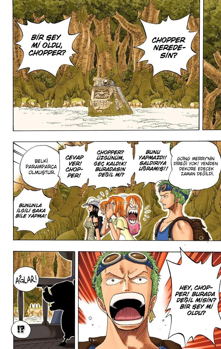 One Piece - Bölüm 252 - Sayfa 14