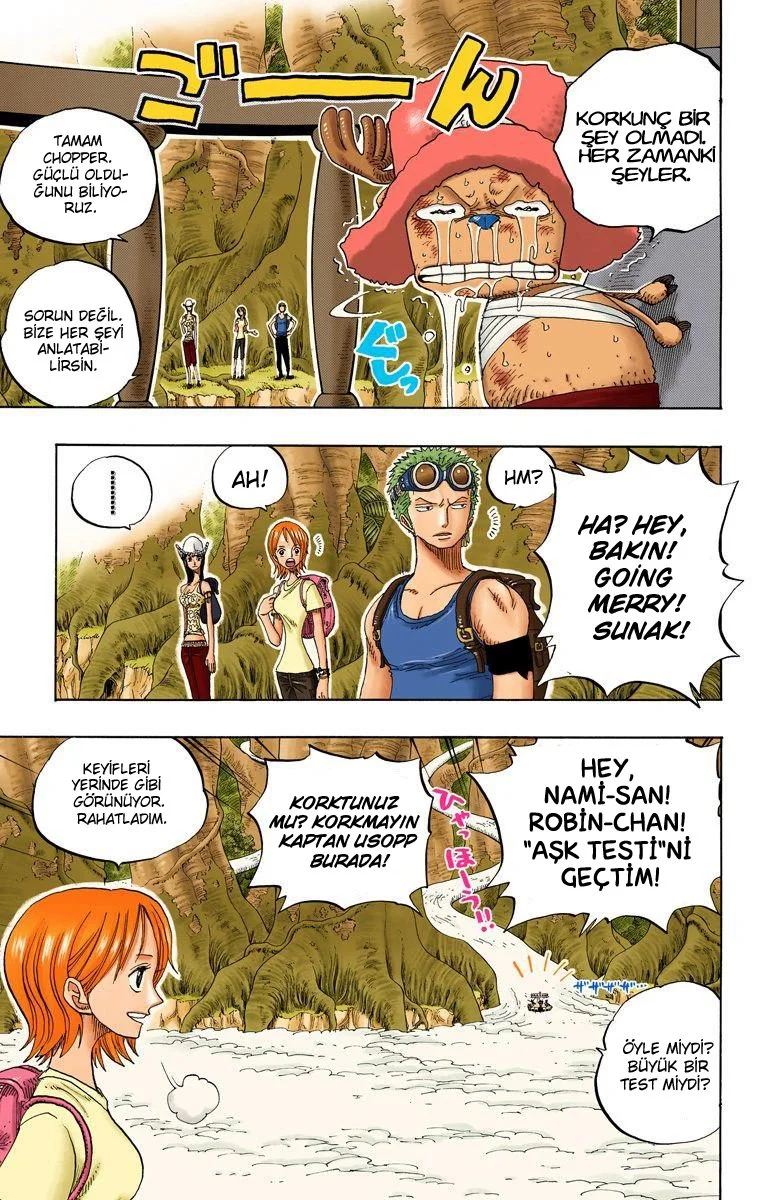 One Piece - Bölüm 252 - Sayfa 15