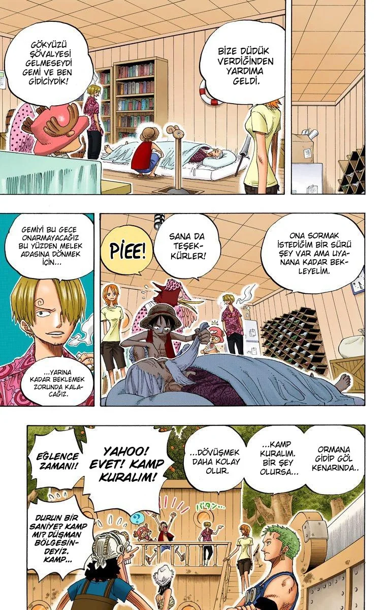 One Piece - Bölüm 252 - Sayfa 17