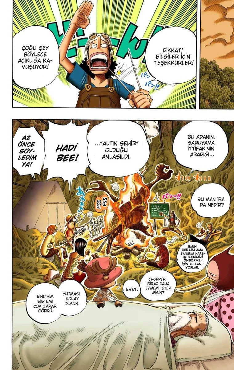 One Piece - Bölüm 252 - Sayfa 18