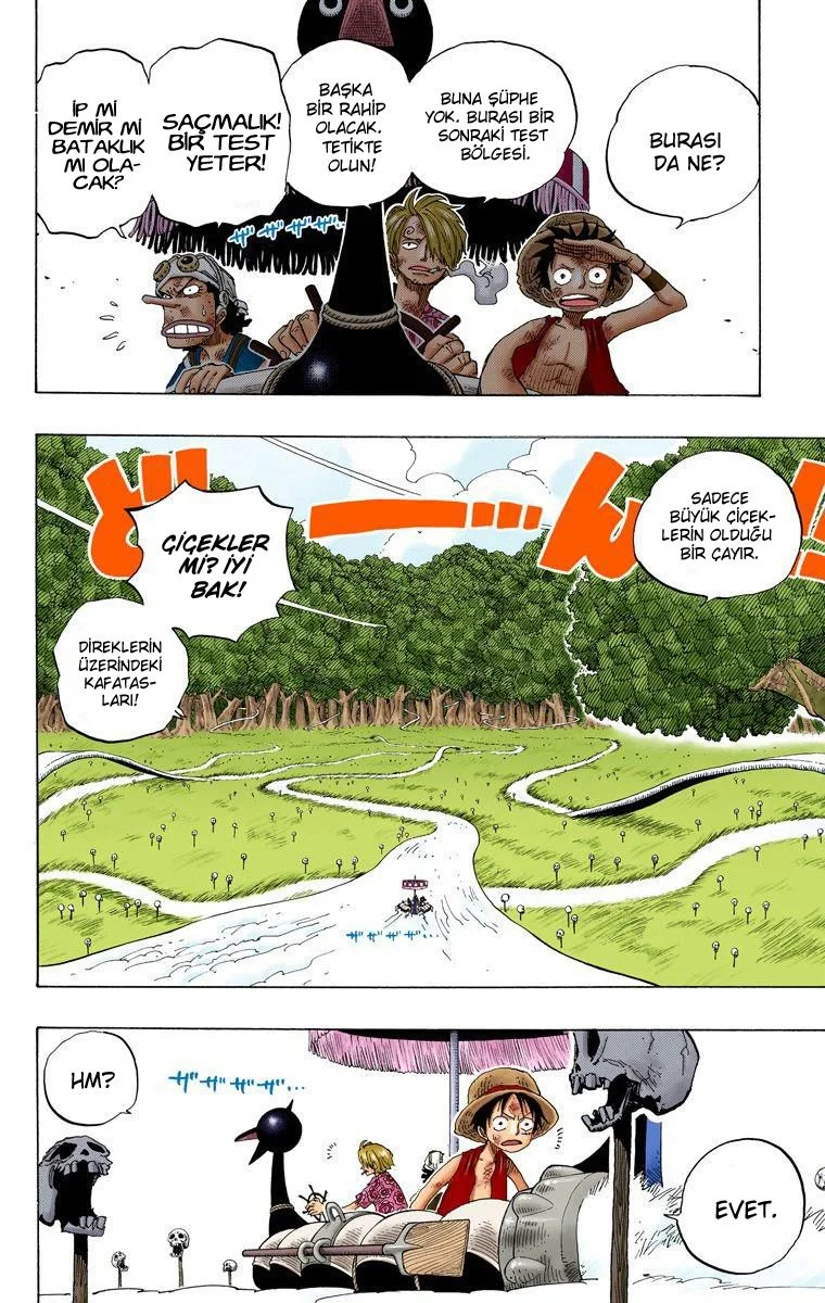 One Piece - Bölüm 252 - Sayfa 4