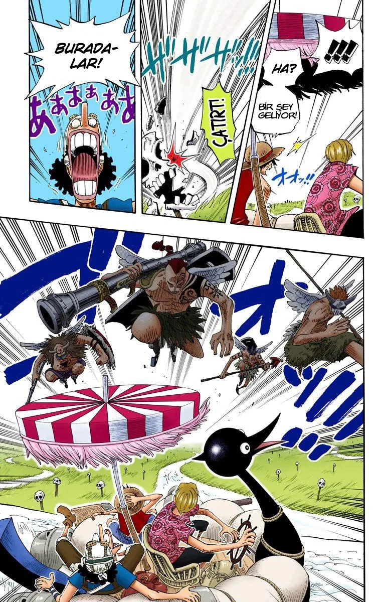One Piece - Bölüm 252 - Sayfa 5