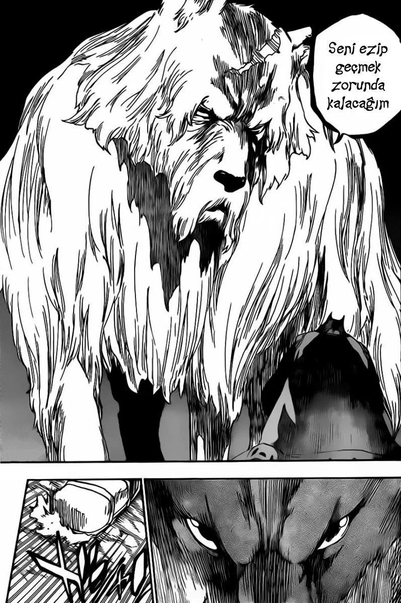 Bleach - Bölüm 539 - Sayfa 13