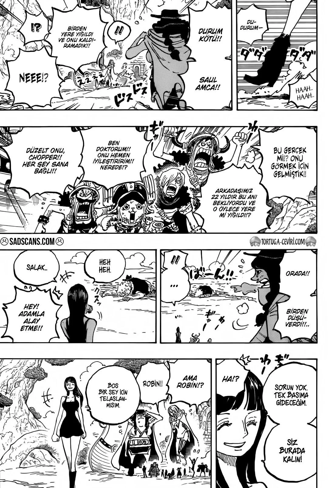 One Piece - Bölüm 1133 - Sayfa 10