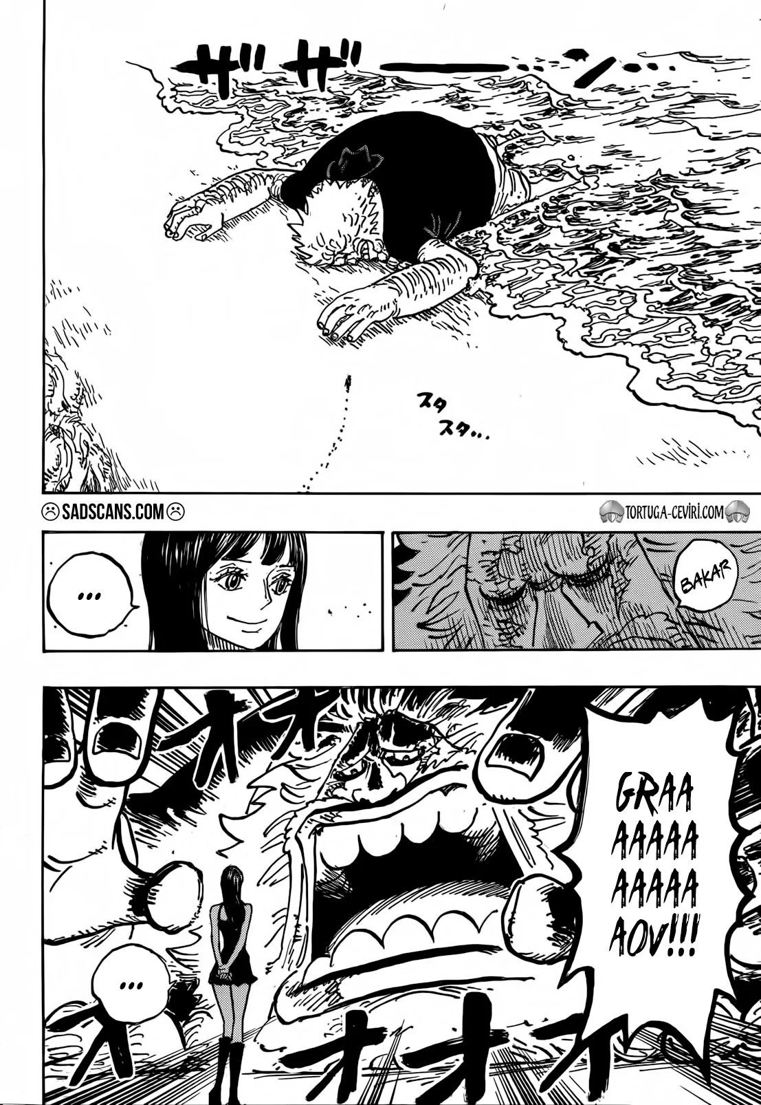 One Piece - Bölüm 1133 - Sayfa 11