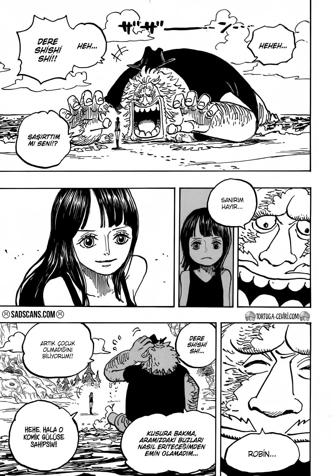 One Piece - Bölüm 1133 - Sayfa 12