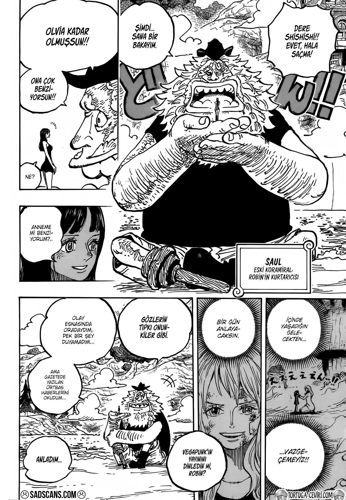 One Piece - Bölüm 1133 - Sayfa 13