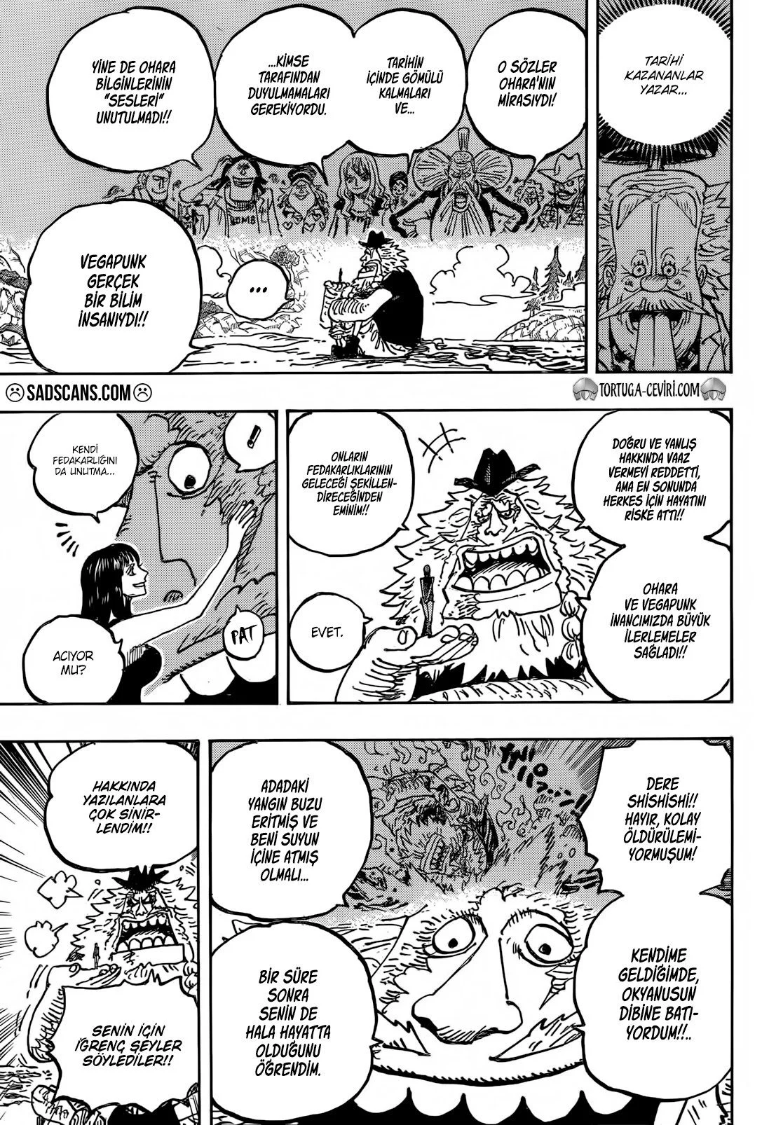 One Piece - Bölüm 1133 - Sayfa 14