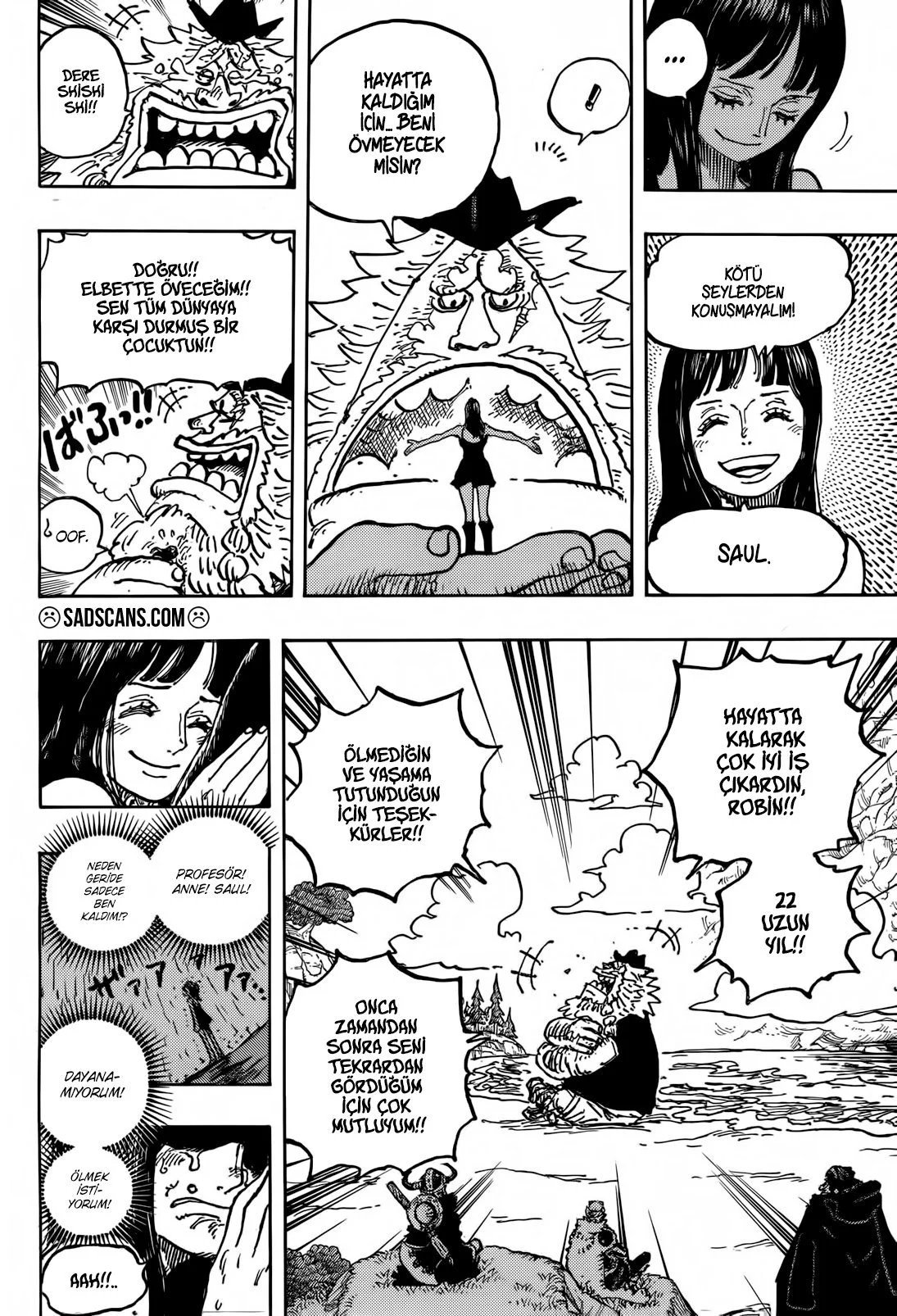 One Piece - Bölüm 1133 - Sayfa 15