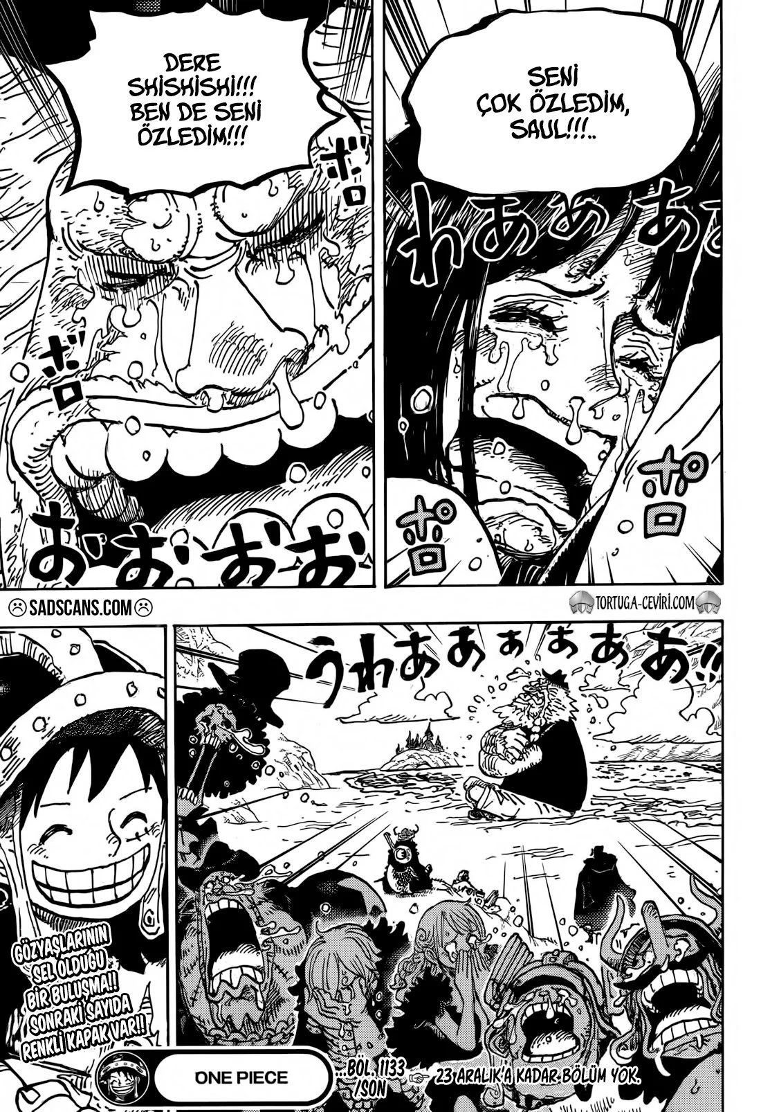 One Piece - Bölüm 1133 - Sayfa 16