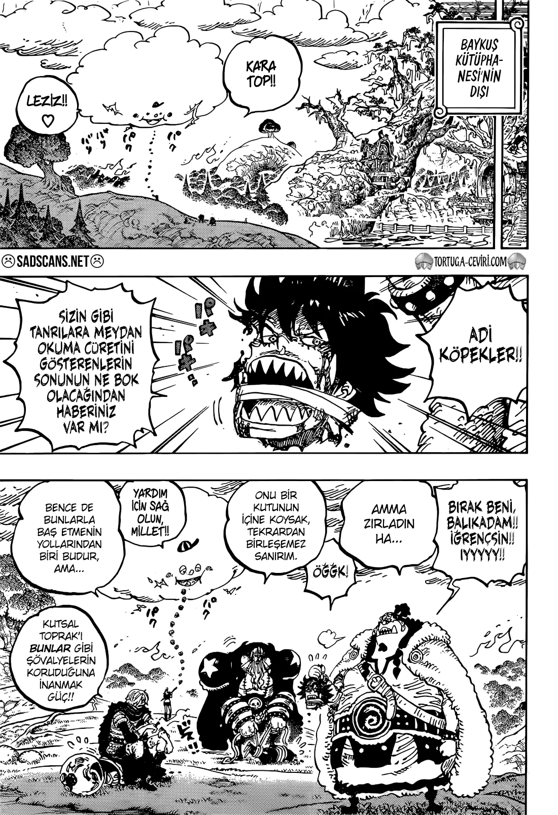 One Piece - Bölüm 1177 - Sayfa 10