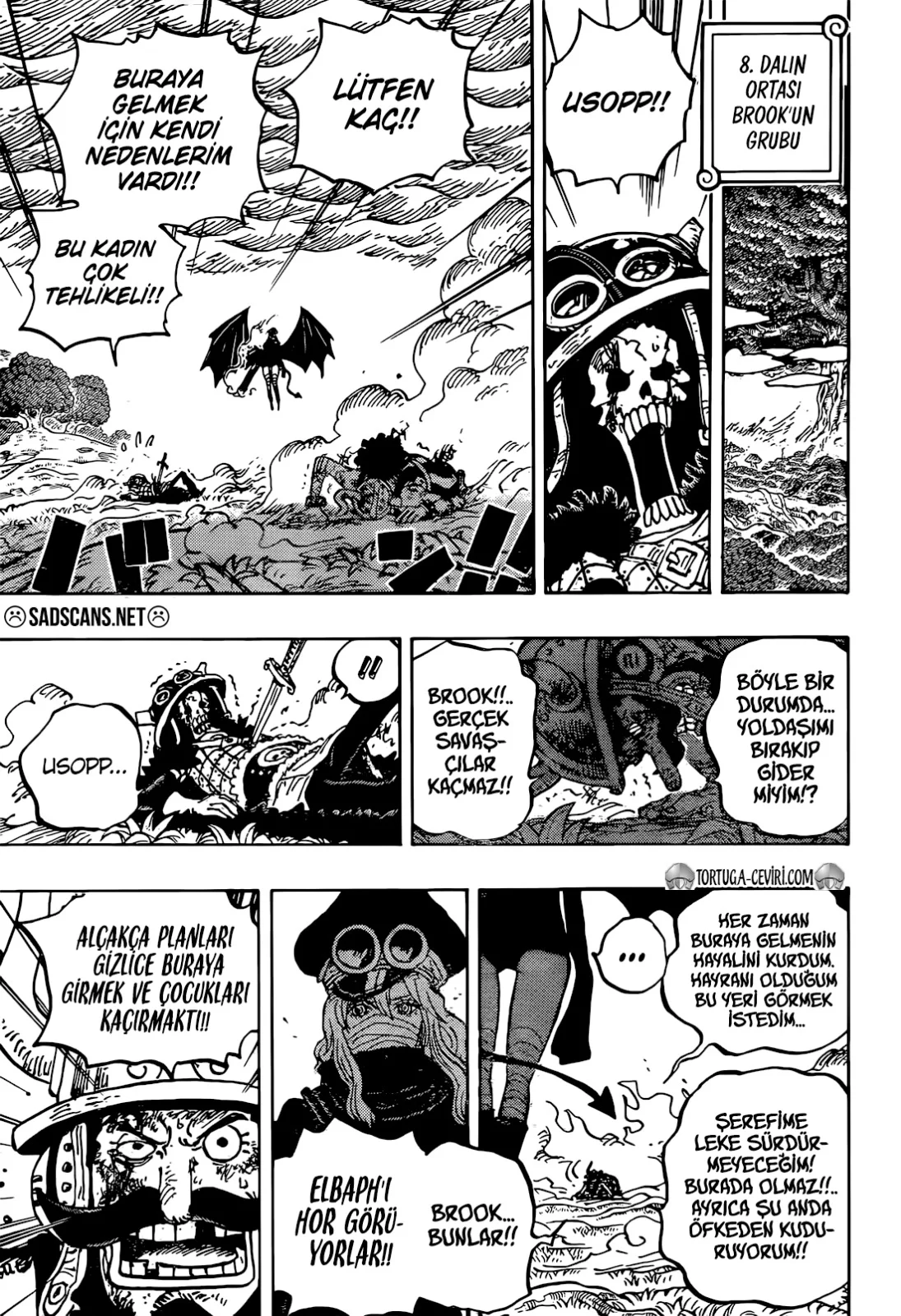 One Piece - Bölüm 1177 - Sayfa 14