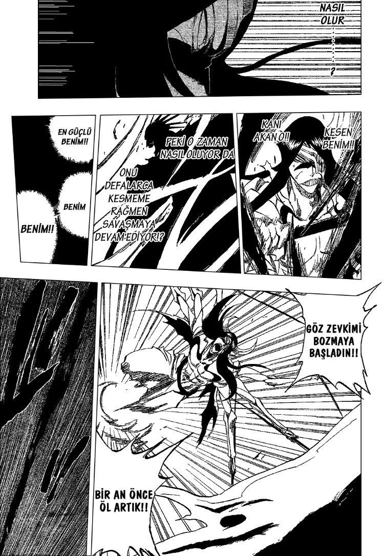 Bleach - Bölüm 311 - Sayfa 13