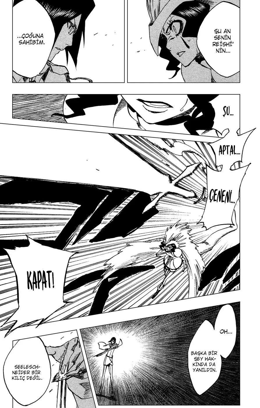Bleach - Bölüm 258 - Sayfa 17