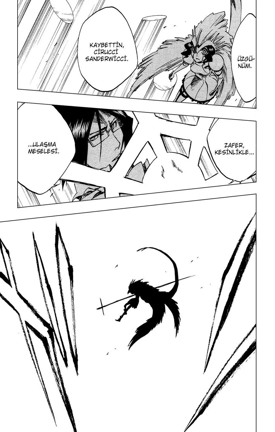 Bleach - Bölüm 258 - Sayfa 19