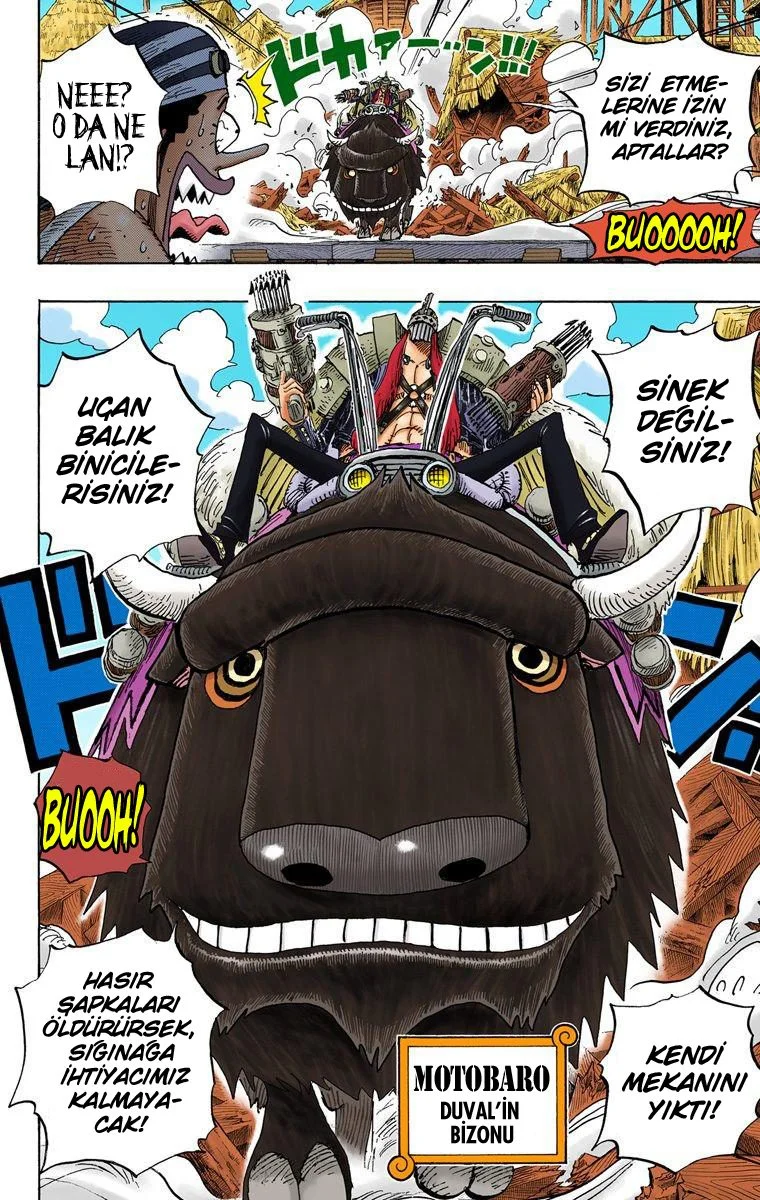 One Piece - Bölüm 494 - Sayfa 10